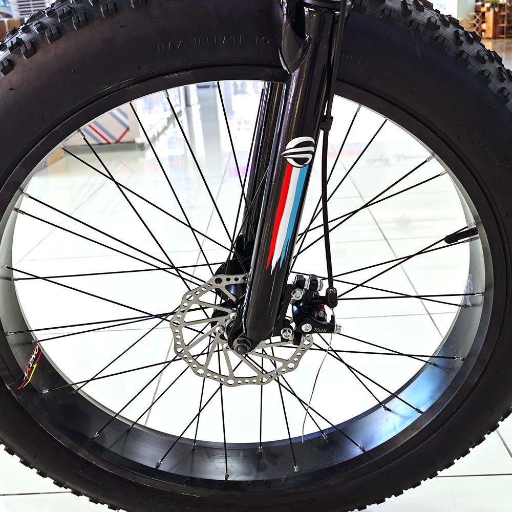 CRONY FB-EM028 26inch Fold Electric Bike 36V Lithium Battery Powerful Sand Ebike - Edragonmall.com