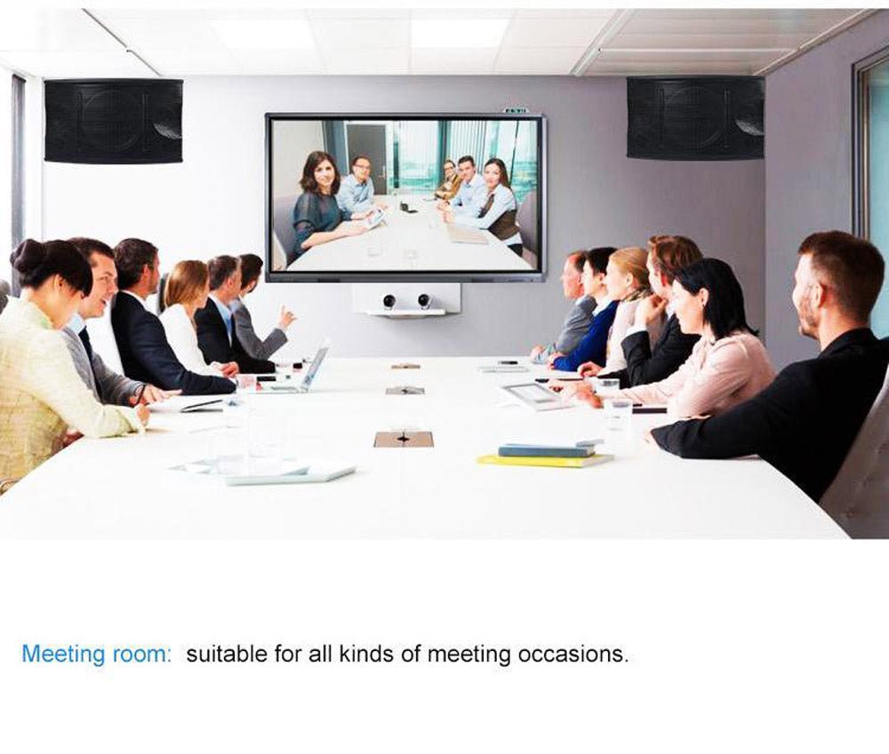 CRONY KA350 Professional system Amplifier with BT 10 Inch RMS 150W Sound Box Karaoke Speaker for Karaoke System - Edragonmall.com