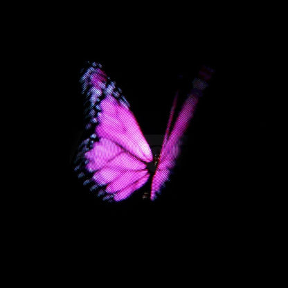 Crony NEW 3D hologram Led fan 42CM Advertising Display Holographic Imaging Naked Eye AD Fan - Edragonmall.com