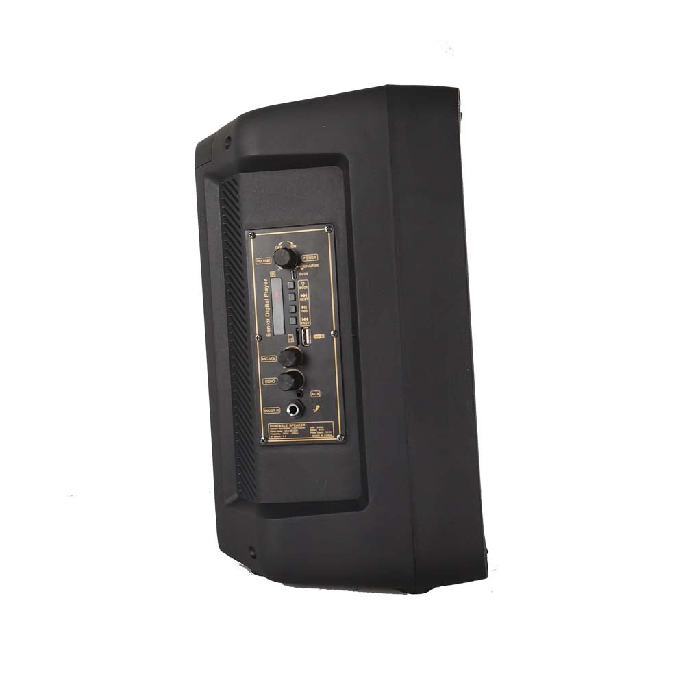 CRONY RX-8136 Speaker 8 inch flame fire running colorful light portable party speaker for out door use with wired microphone karaoke - Edragonmall.com