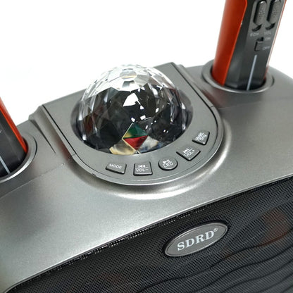 CRONY SD-315 BT Speaker karaoke bluetooth speaker with 2 microphones | Dark gray - Edragonmall.com