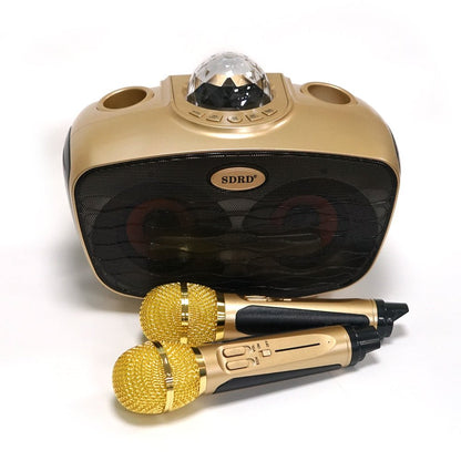 CRONY SD-315 BT Speaker karaoke bluetooth speaker with 2 microphones | Golden - Edragonmall.com