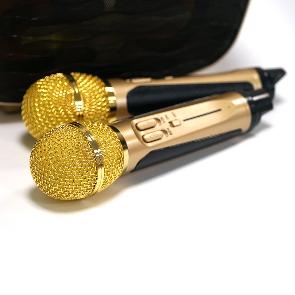CRONY SD-315 BT Speaker karaoke bluetooth speaker with 2 microphones | Golden - Edragonmall.com