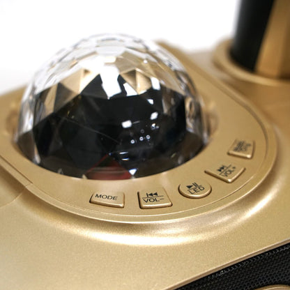 CRONY SD-315 BT Speaker karaoke bluetooth speaker with 2 microphones | Golden - Edragonmall.com