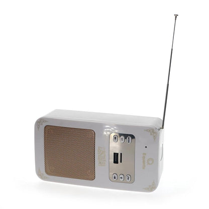 CRONY SQ-669 Quran Speaker with Wireless Contral - Edragonmall.com