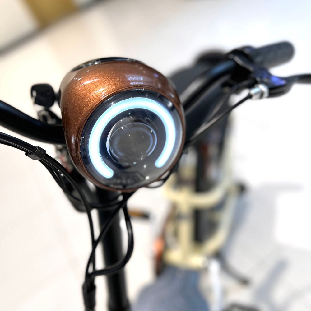 CRONY T8 Electric Delivery express Bicycle electrical scooter 12 inch 48v 10Ah electric bike - Edragonmall.com