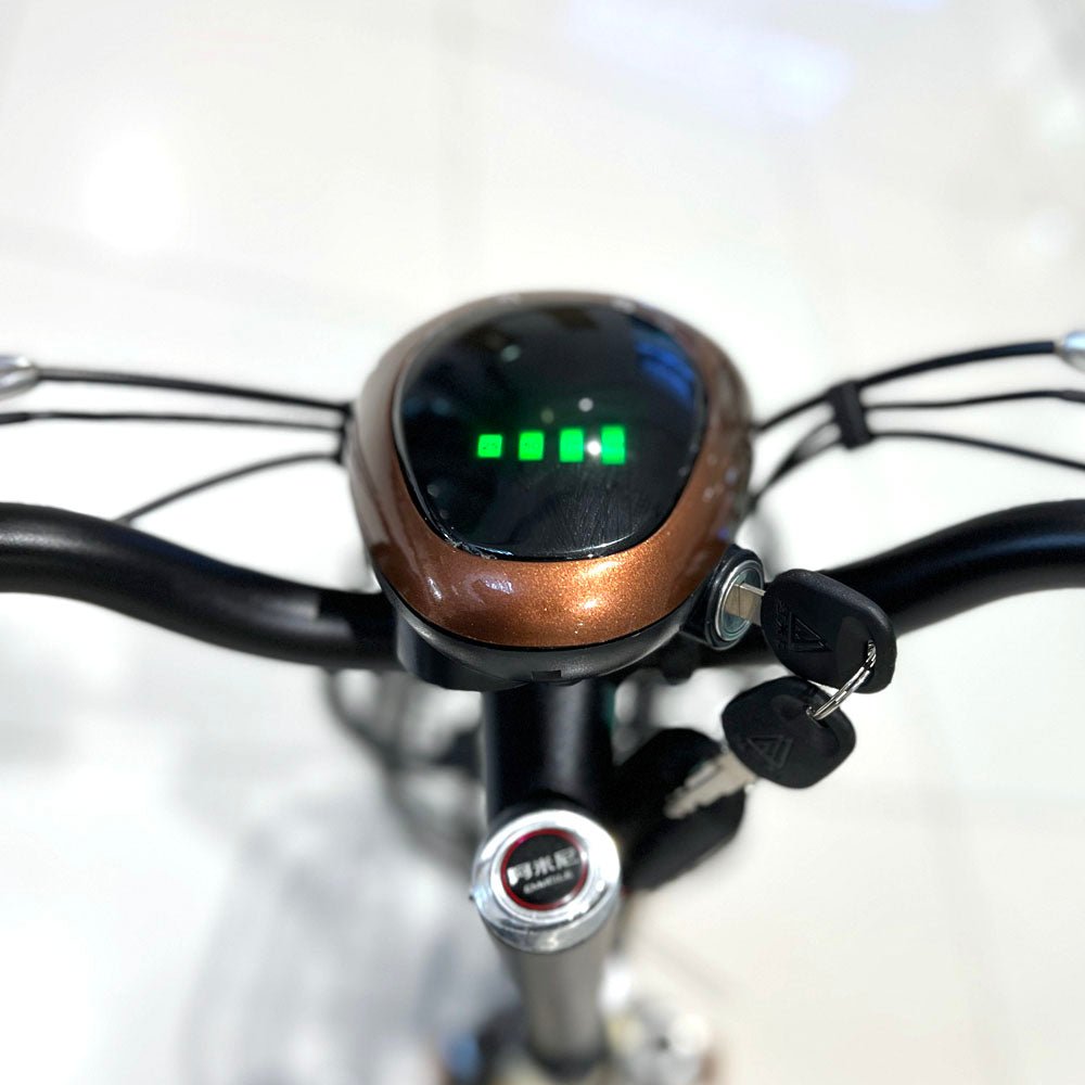 CRONY T8 Electric Delivery express Bicycle electrical scooter 12 inch 48v 10Ah electric bike - Edragonmall.com