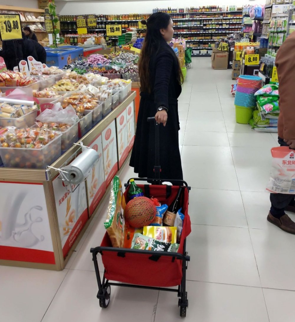 CRONY TC3015 Folding Cart Heavy Duty Collapsible Folding Wagon Utility Shopping Outdoor Camping Garden Cart | Green - Edragonmall.com