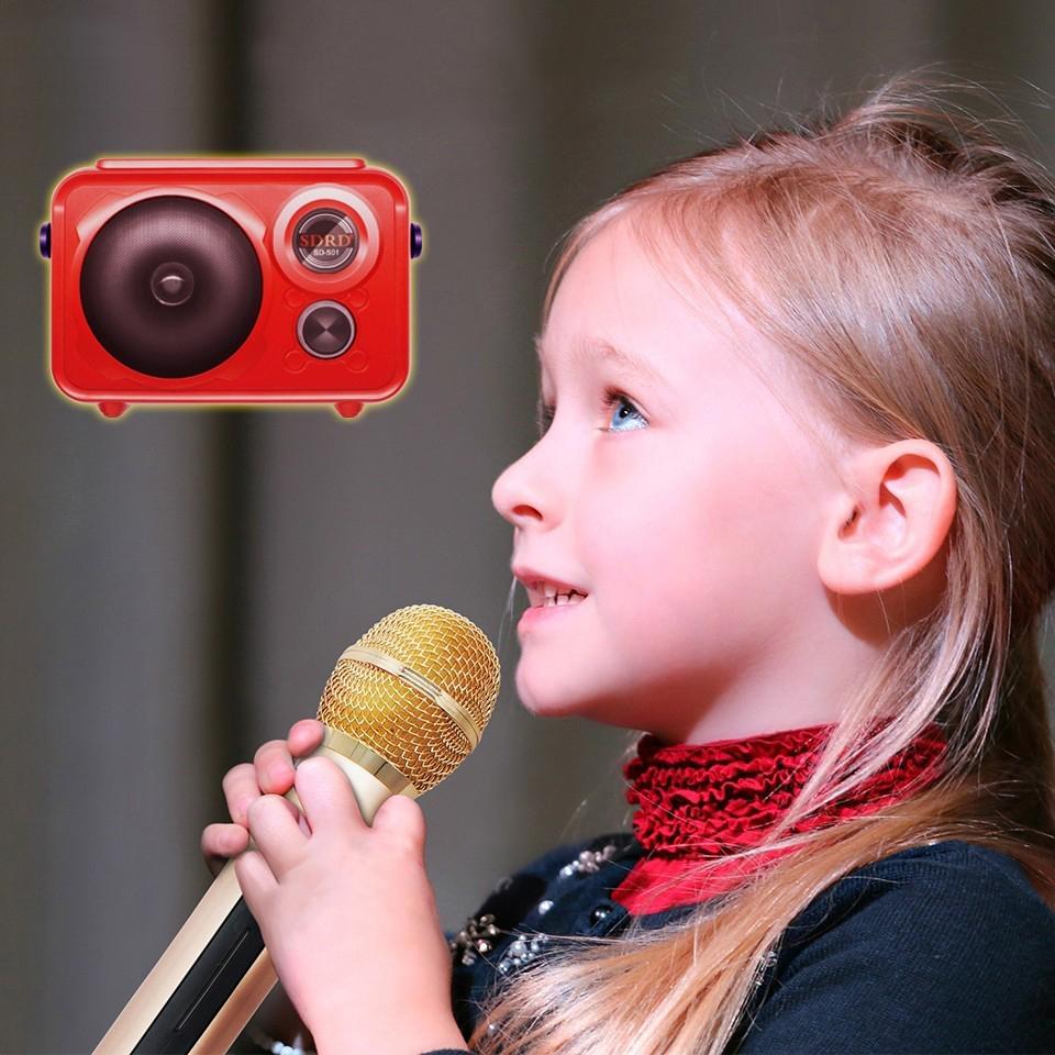 SDRD Sd-501 Home Speaker Microphone Integrated Single Sing Mobile Phone Karaoke | Red - Edragonmall.com