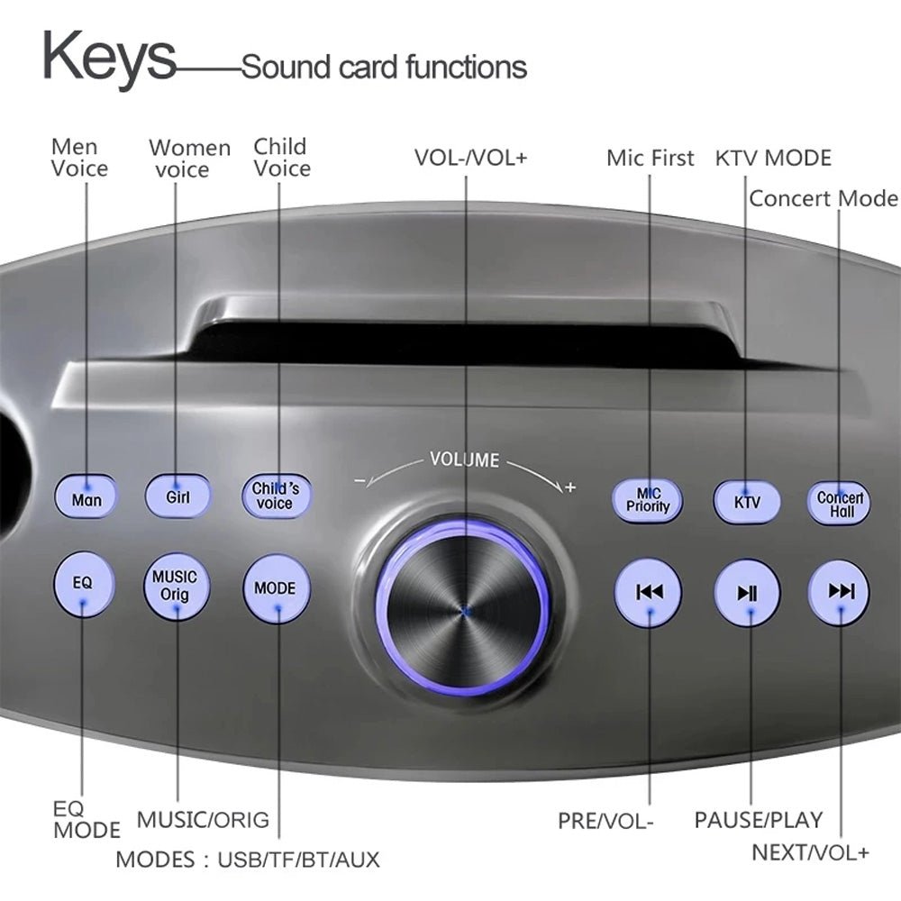 SDRD SD306 Plus 30W Karaoke Player Dual bluetooth 4.2 Speaker
